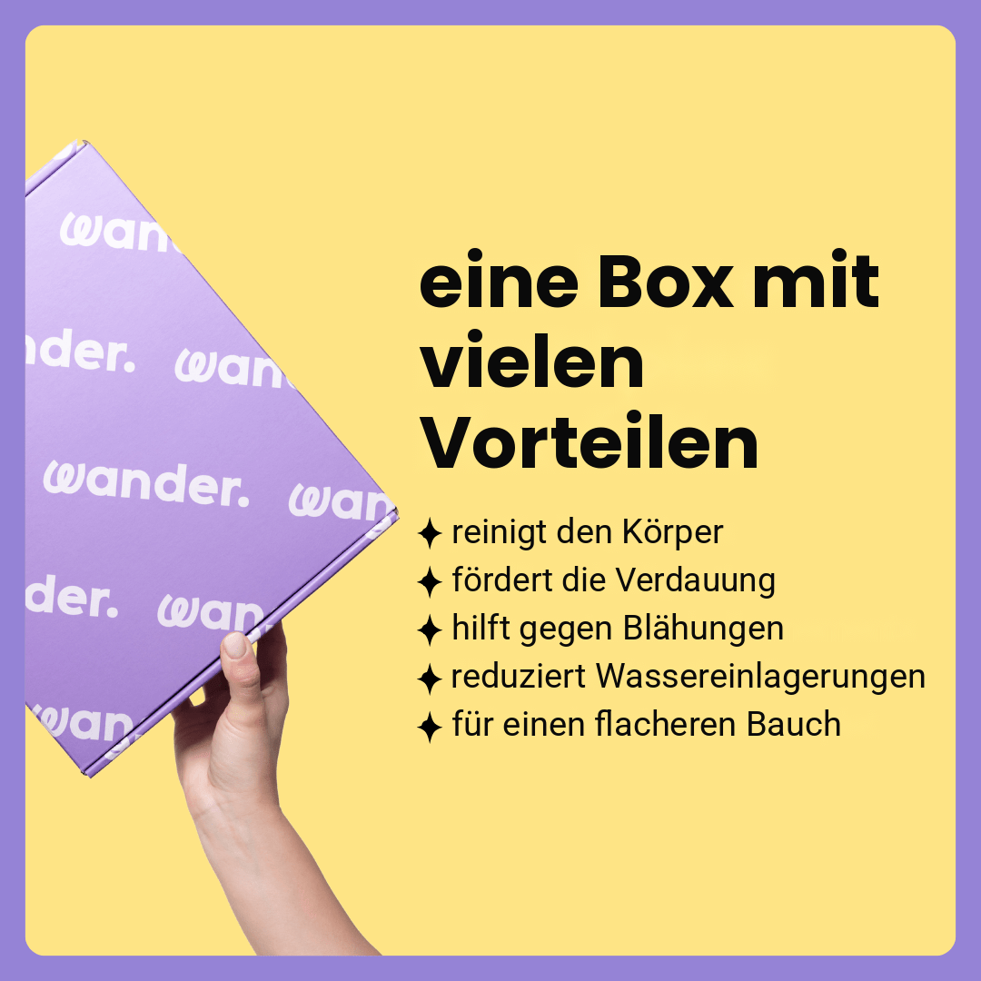 Box Flacher Bauch · DE