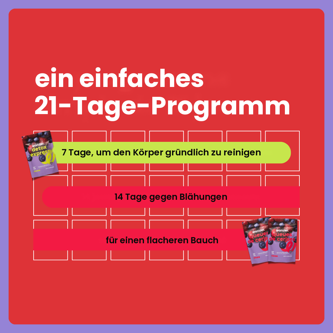 Box Flacher Bauch · DE